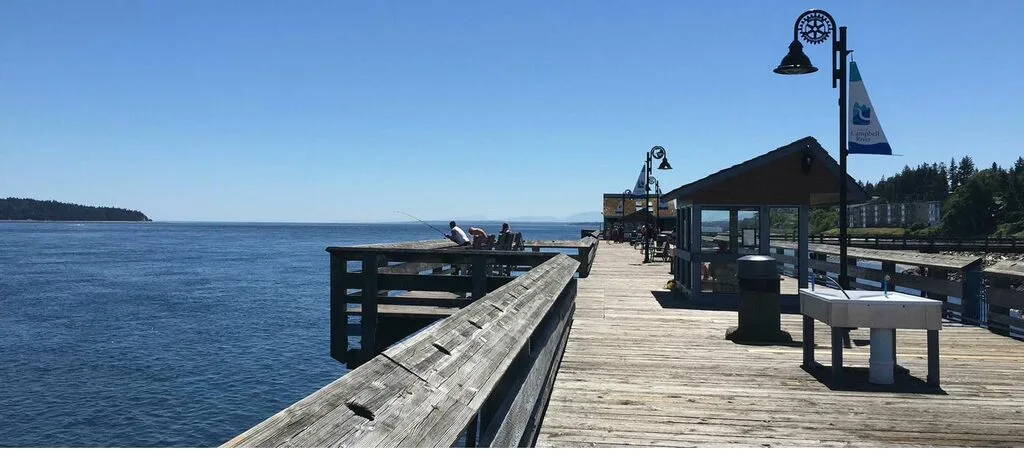 ALPHA IT support Campbell River