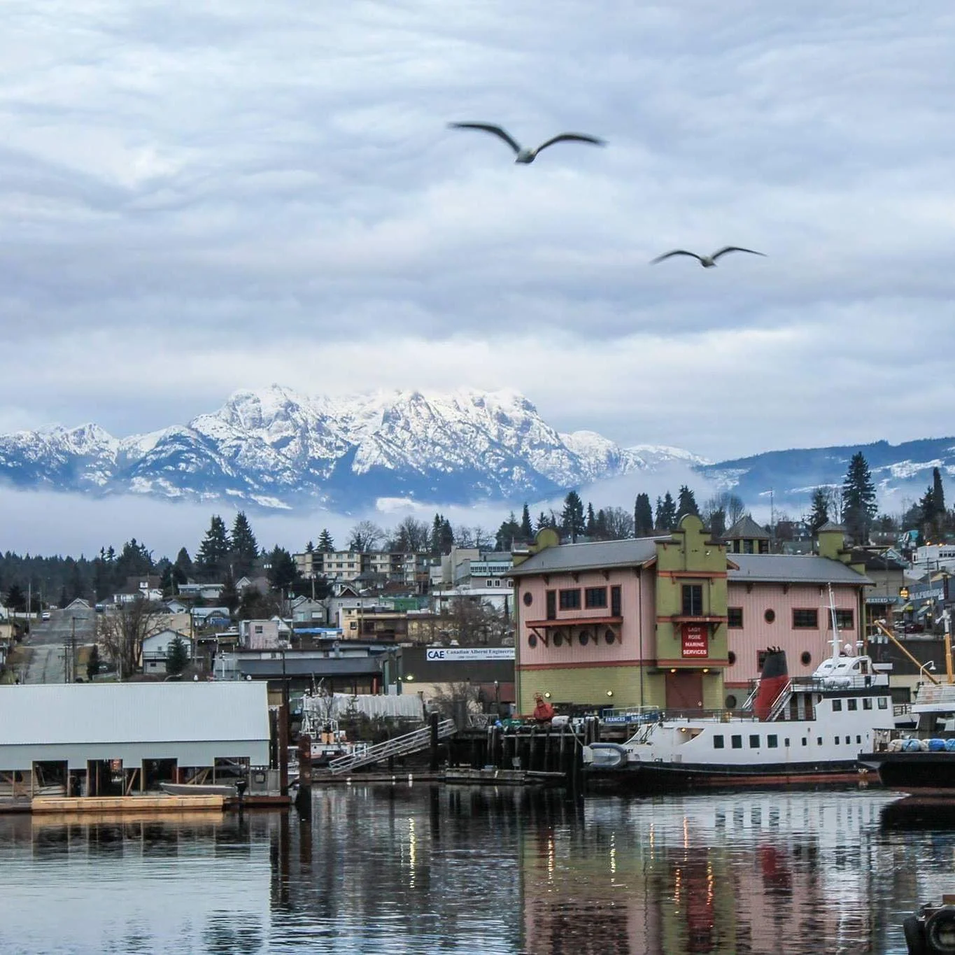 Port Alberni and surrounding area